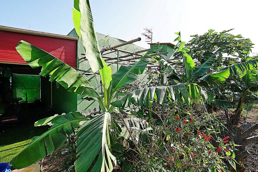 2 soveværelse Finca/Landehus til salg i Santa Maria de Guia de Gran Canaria med garage - € 320.000 (Ref: 8099813)