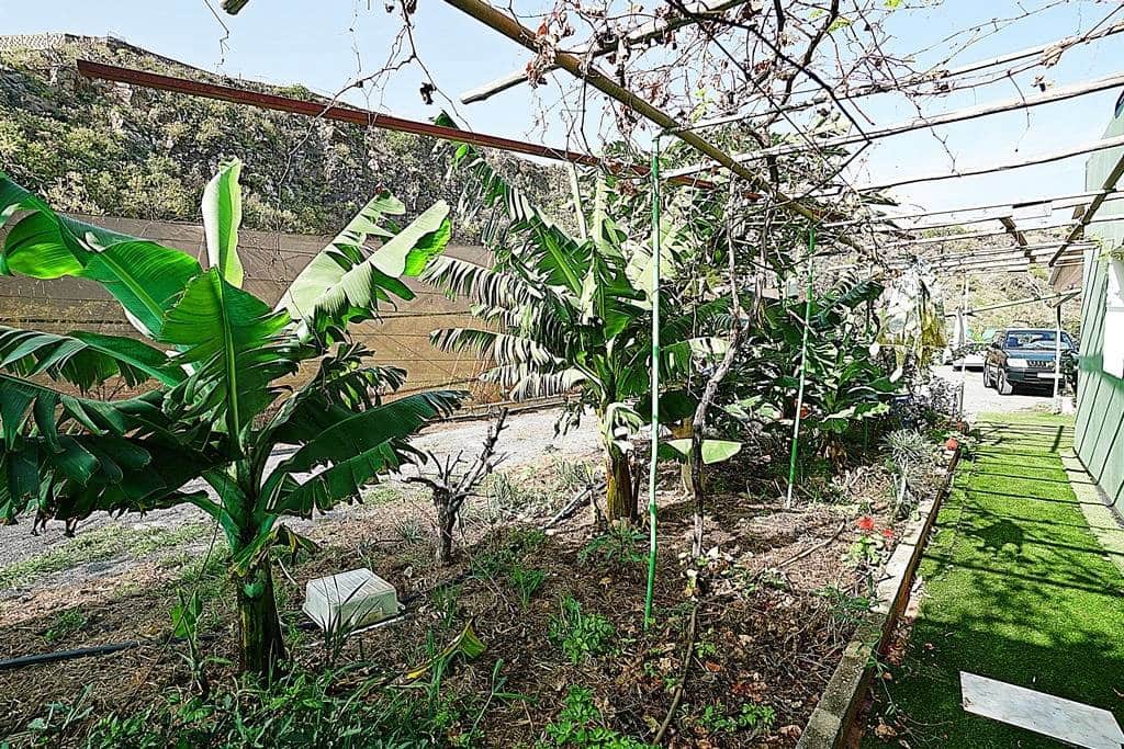 2 soveværelse Finca/Landehus til salg i Santa Maria de Guia de Gran Canaria med garage - € 320.000 (Ref: 8099813)