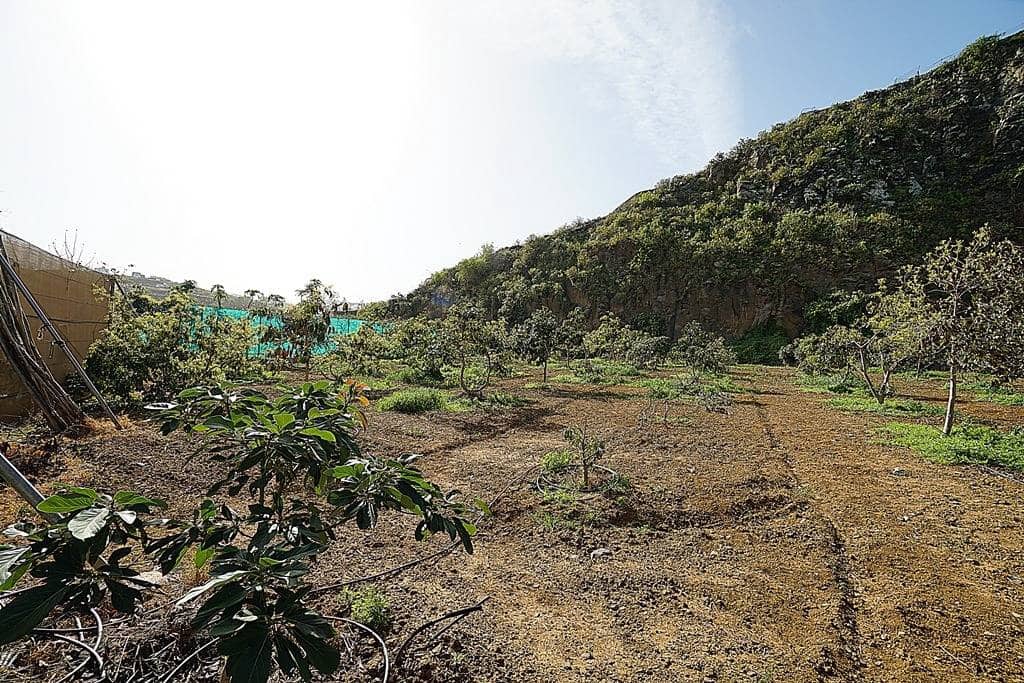 2 soveværelse Finca/Landehus til salg i Santa Maria de Guia de Gran Canaria med garage - € 320.000 (Ref: 8099813)