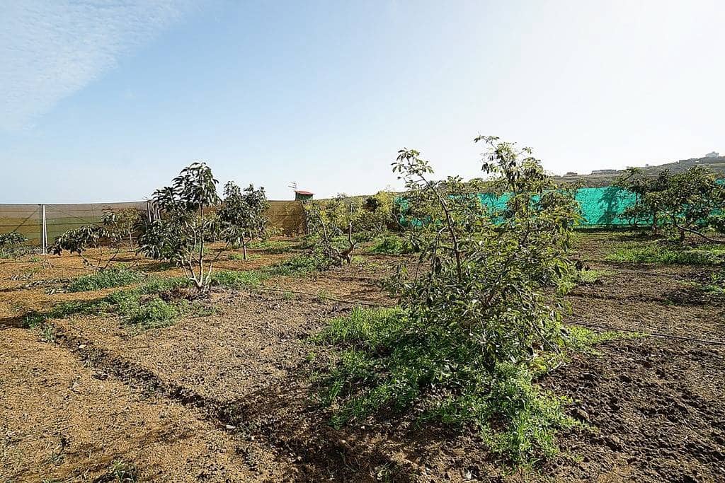 2 soveværelse Finca/Landehus til salg i Santa Maria de Guia de Gran Canaria med garage - € 320.000 (Ref: 8099813)