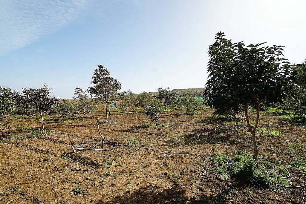 2 soveværelse Finca/Landehus til salg i Santa Maria de Guia de Gran Canaria med garage - € 320.000 (Ref: 8099813)