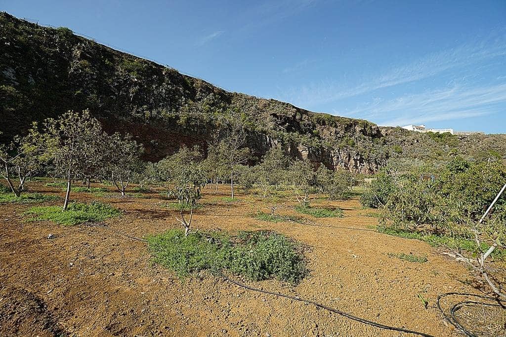 2 soveværelse Finca/Landehus til salg i Santa Maria de Guia de Gran Canaria med garage - € 320.000 (Ref: 8099813)
