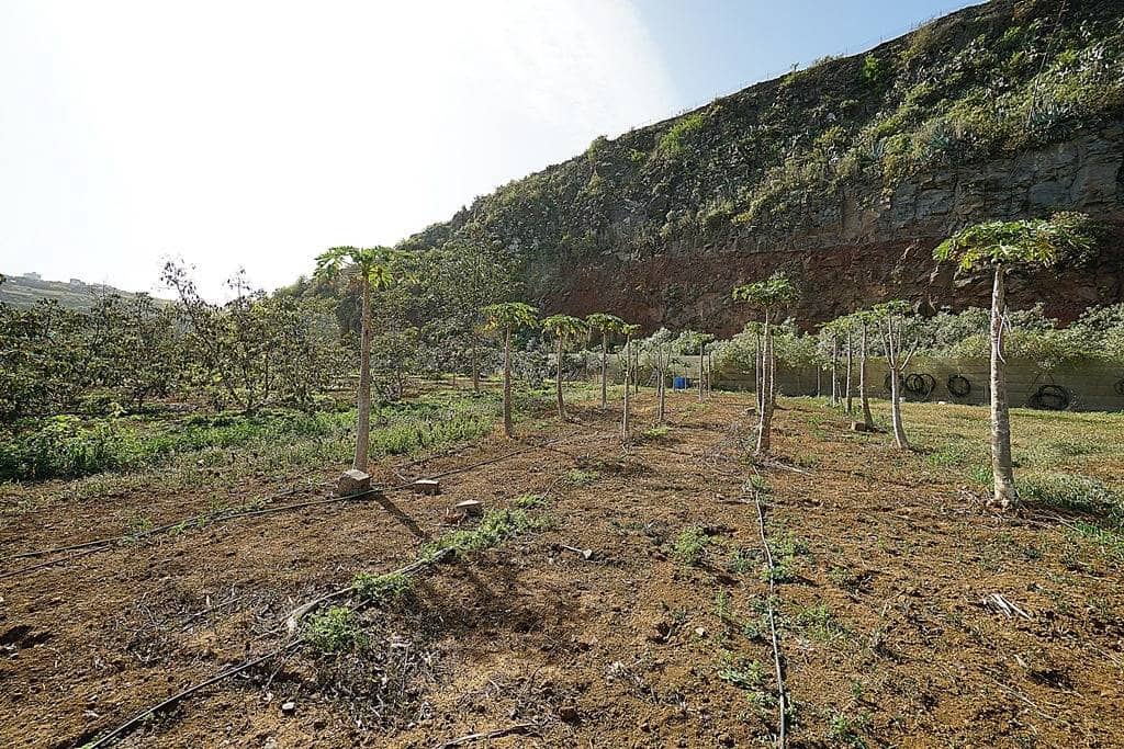 2 soveværelse Finca/Landehus til salg i Santa Maria de Guia de Gran Canaria med garage - € 320.000 (Ref: 8099813)