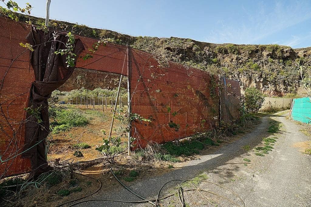 2 soveværelse Finca/Landehus til salg i Santa Maria de Guia de Gran Canaria med garage - € 320.000 (Ref: 8099813)