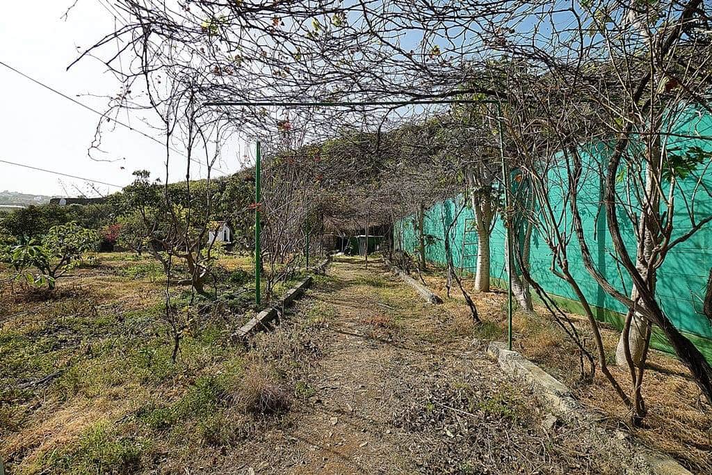 2 soveværelse Finca/Landehus til salg i Santa Maria de Guia de Gran Canaria med garage - € 320.000 (Ref: 8099813)
