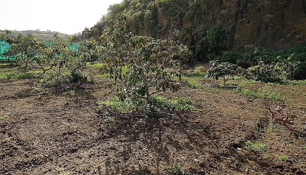 2 soveværelse Finca/Landehus til salg i Santa Maria de Guia de Gran Canaria med garage - € 320.000 (Ref: 8099813)