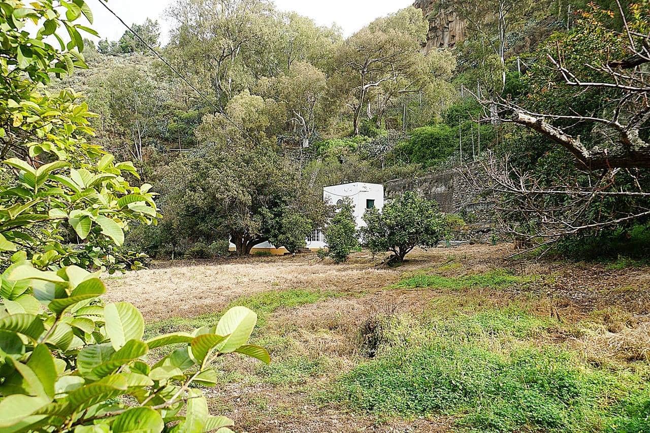 4 soveværelse Finca/Landehus til salg i Teror - € 360.000 (Ref: 8102502)