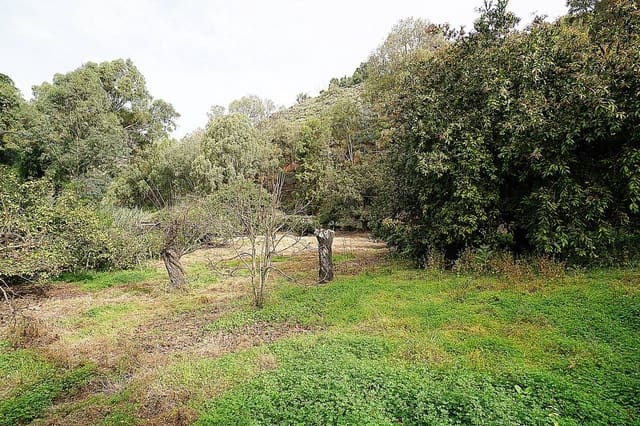 4 soveværelse Finca/Landehus til salg i Teror - € 360.000 (Ref: 8102502)