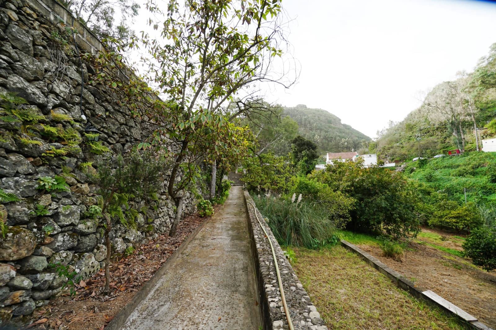 4 soveværelse Finca/Landehus til salg i Teror - € 360.000 (Ref: 8102502)