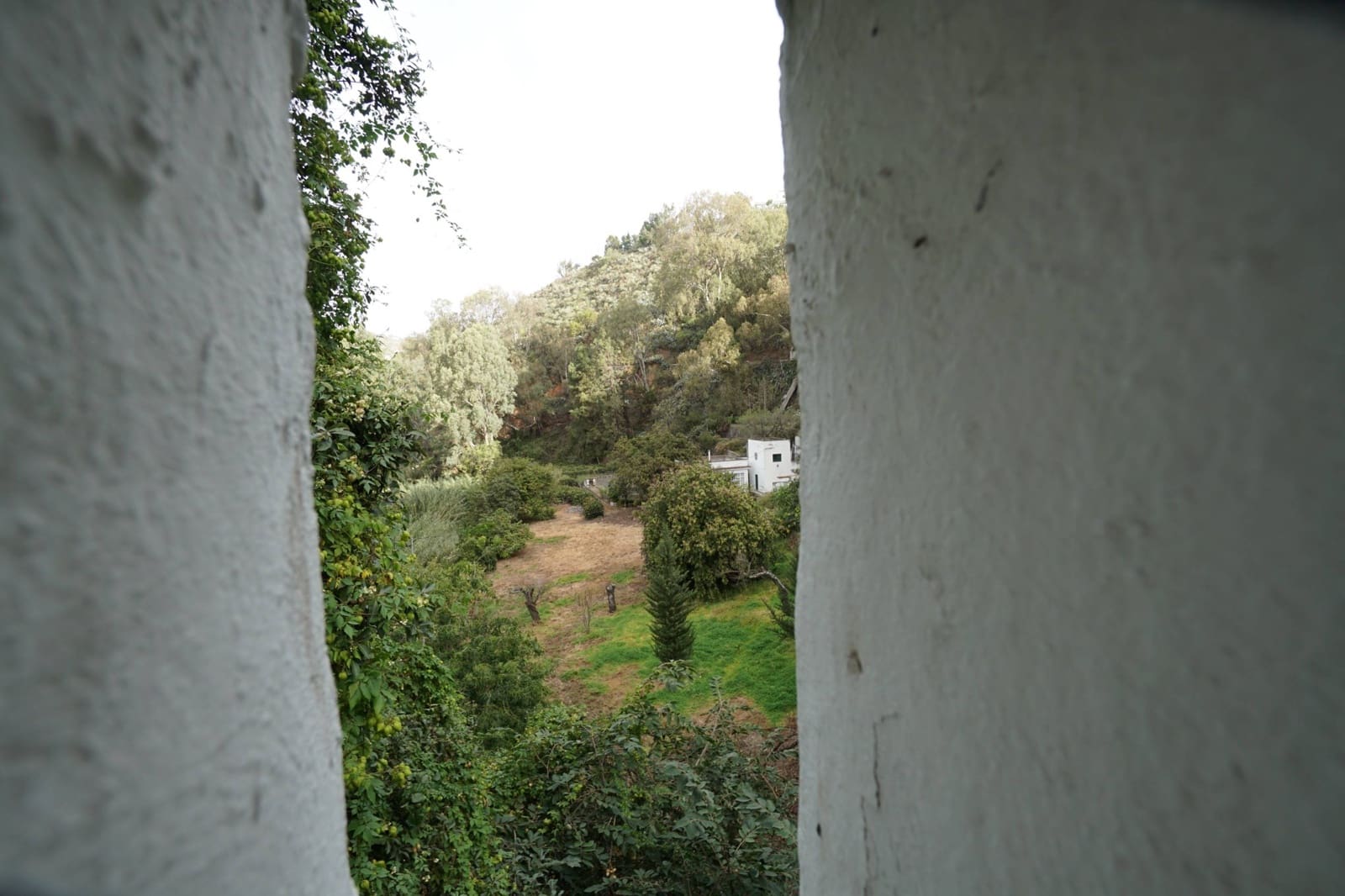 4 chambre Finca/Maison de Campagne à vendre à Teror - 360 000 € (Ref: 8102502)