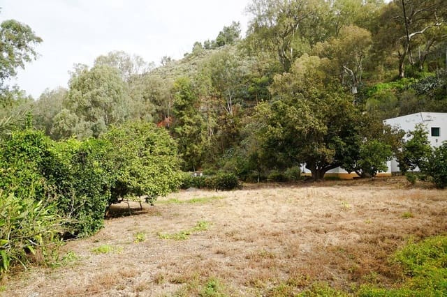 4 Zimmer Finca/Landgut zu verkaufen in Teror - 360.000 € (Ref: 8102502)