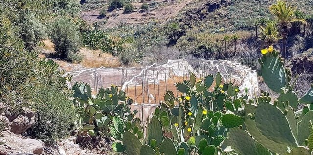 Finca/Casa Rural en San Bartolomé de Tirajana en venta - 115.000 € (Ref: 8244266)