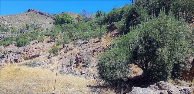 Finca/Casa Rural en San Bartolomé de Tirajana en venta - 115.000 € (Ref: 8244266)