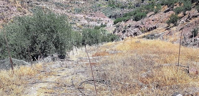 Finca/Casa Rural en San Bartolomé de Tirajana en venta - 115.000 € (Ref: 8244266)