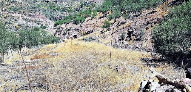 Finca/Casa Rural en San Bartolomé de Tirajana en venta - 115.000 € (Ref: 8244266)