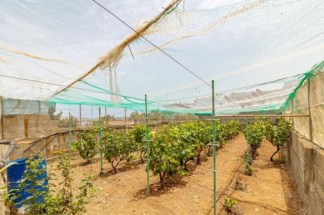 6 soveværelse Villa til salg i Arucas med swimmingpool garage - € 430.000 (Ref: 8450765)