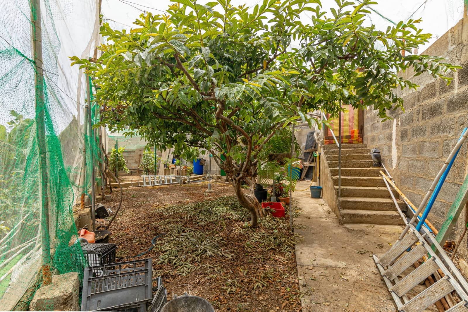 6 quarto Moradia para venda em Arucas com piscina garagem - 430 000 € (Ref: 8450765)