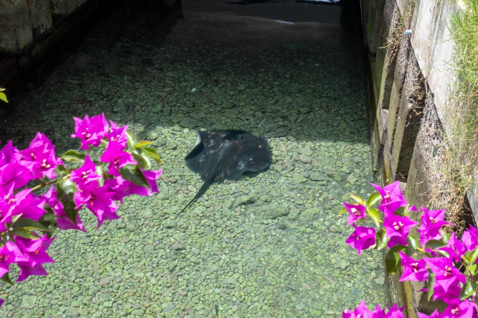 3 soverom Finca/Herregård til salgs i Mogan - € 410 000 (Ref: 8519077)