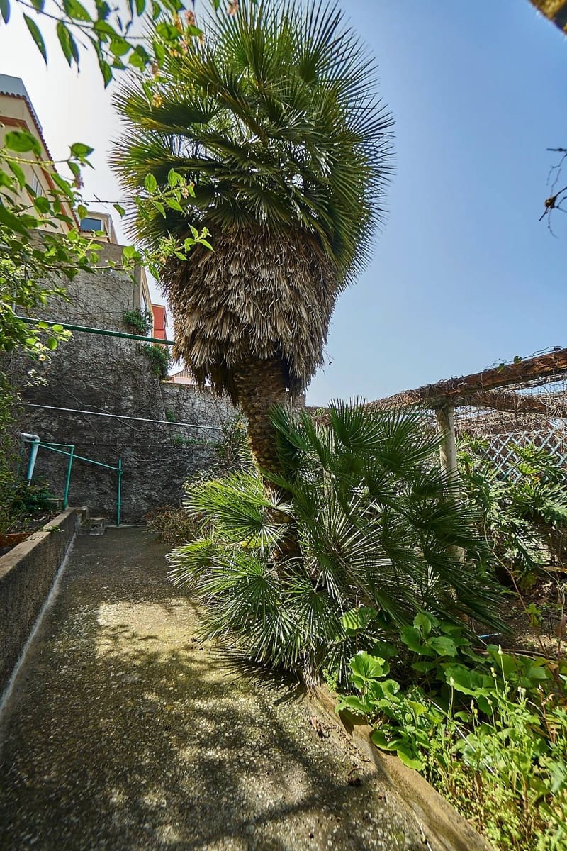 4 quarto Moradia para venda em Santa Brigida - 500 000 € (Ref: 8570380)