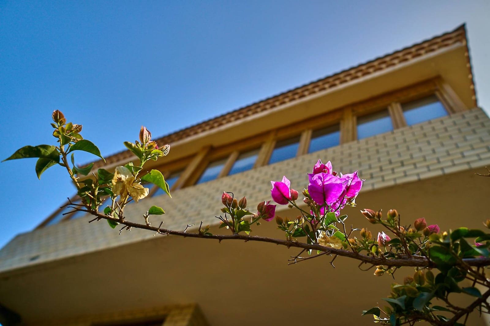 4 quarto Moradia para venda em Santa Brigida - 500 000 € (Ref: 8570380)