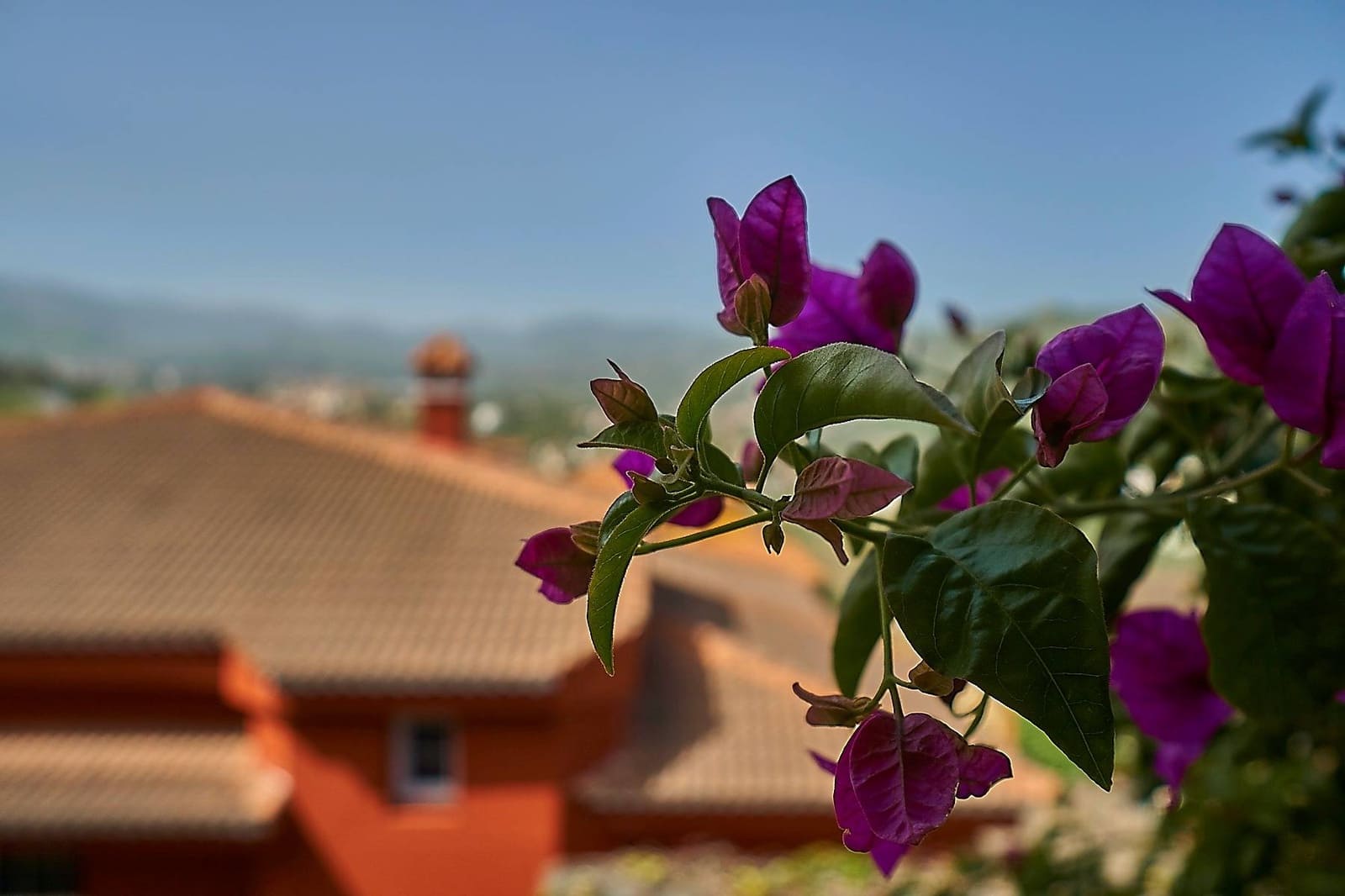 4 quarto Moradia para venda em Santa Brigida - 500 000 € (Ref: 8570380)