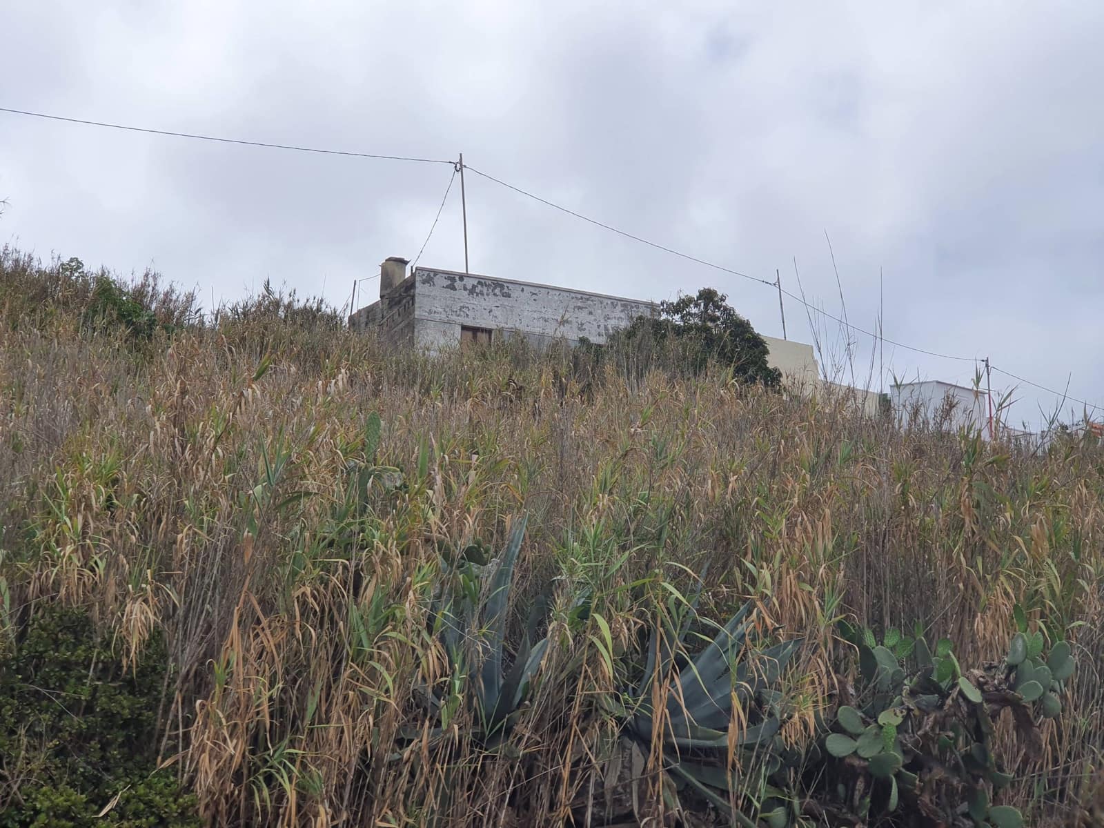 Byggegrund til salg i Moya - € 320.000 (Ref: 8608665)