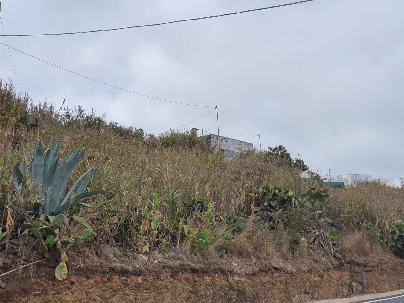 Byggegrund til salg i Moya - € 320.000 (Ref: 8608665)