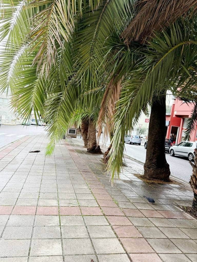 Commerciale in vendita in Santa Brigida - 240.000 € (Rif: 8615310)