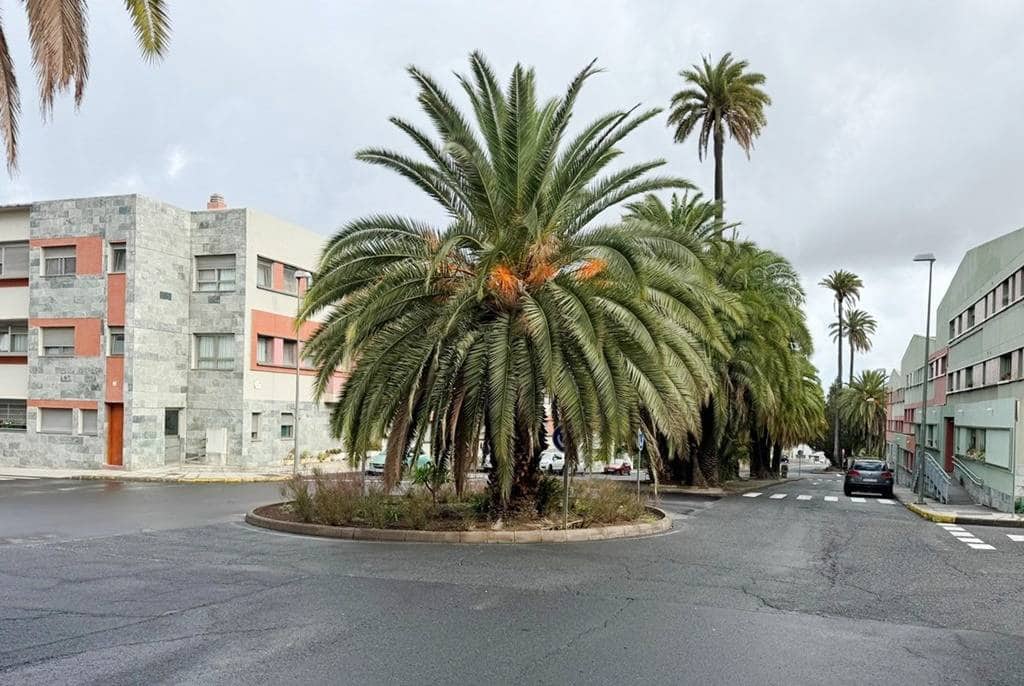 Local Comercial en Santa Brígida en venta - 240.000 € (Ref: 8615310)