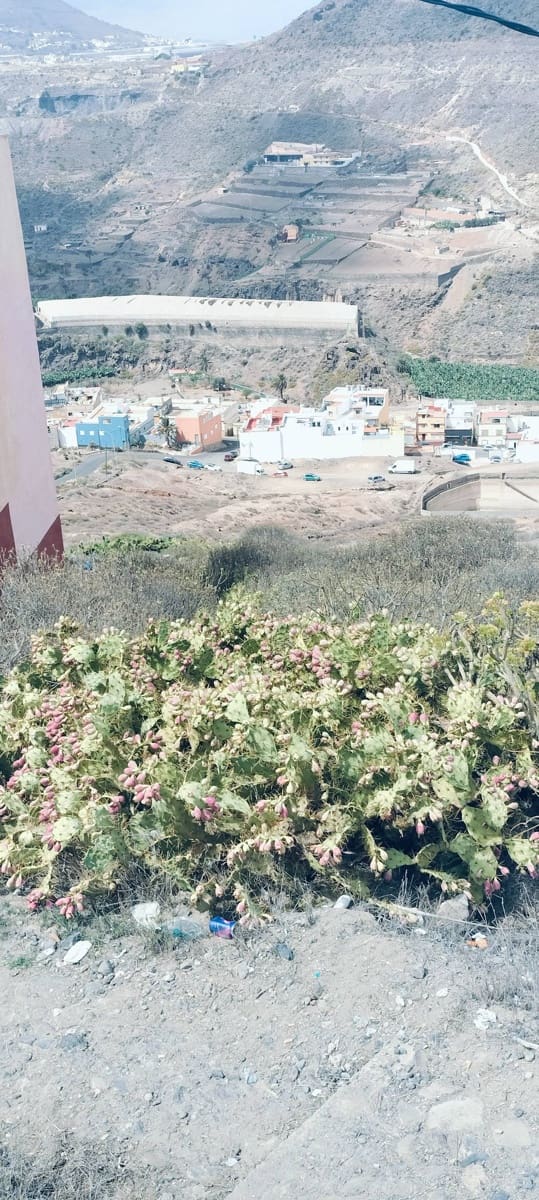 Byggegrund til salg i Las Palmas de Gran Canaria - € 66.500 (Ref: 8638534)