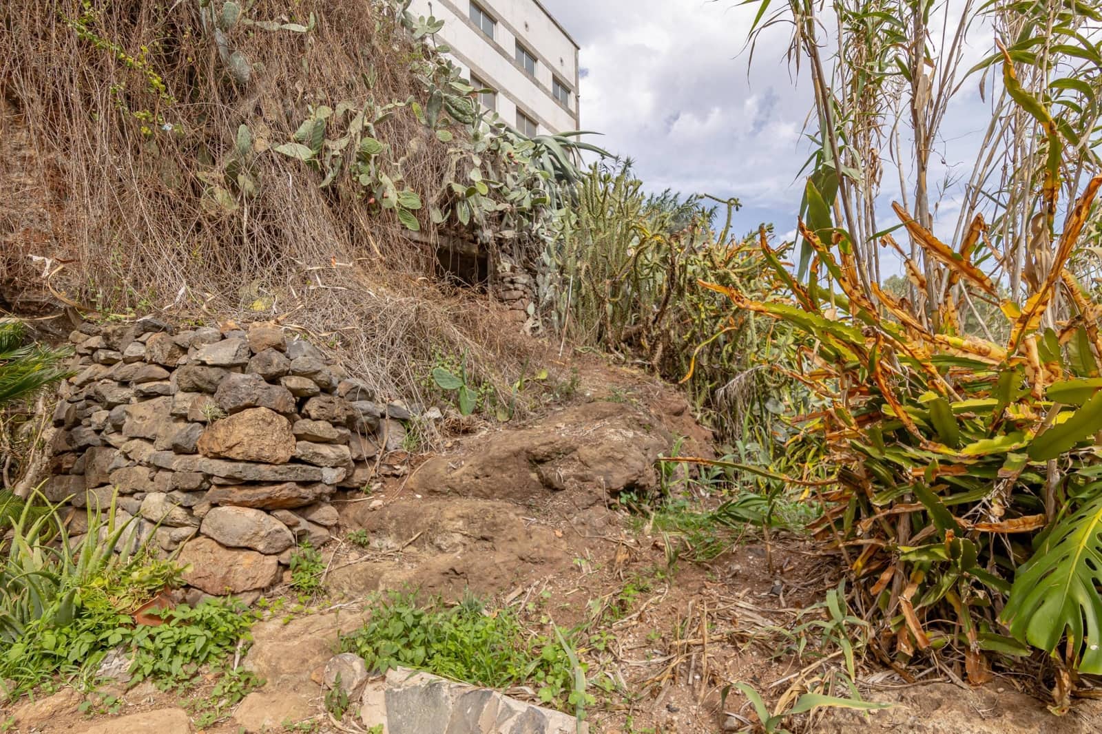 5 quarto Moradia para venda em Teror - 230 000 € (Ref: 8670326)