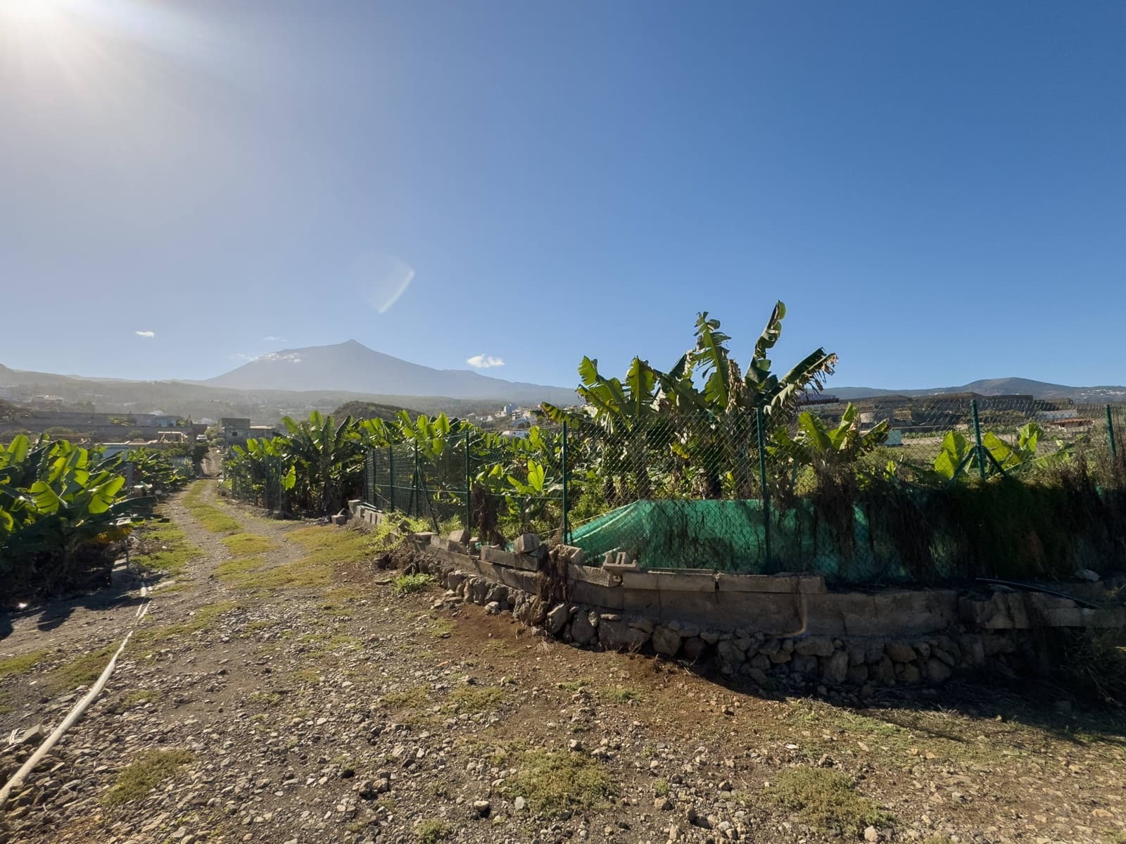 2 soveværelse Finca/Landehus til salg i La Guancha - € 290.000 (Ref: 8776256)