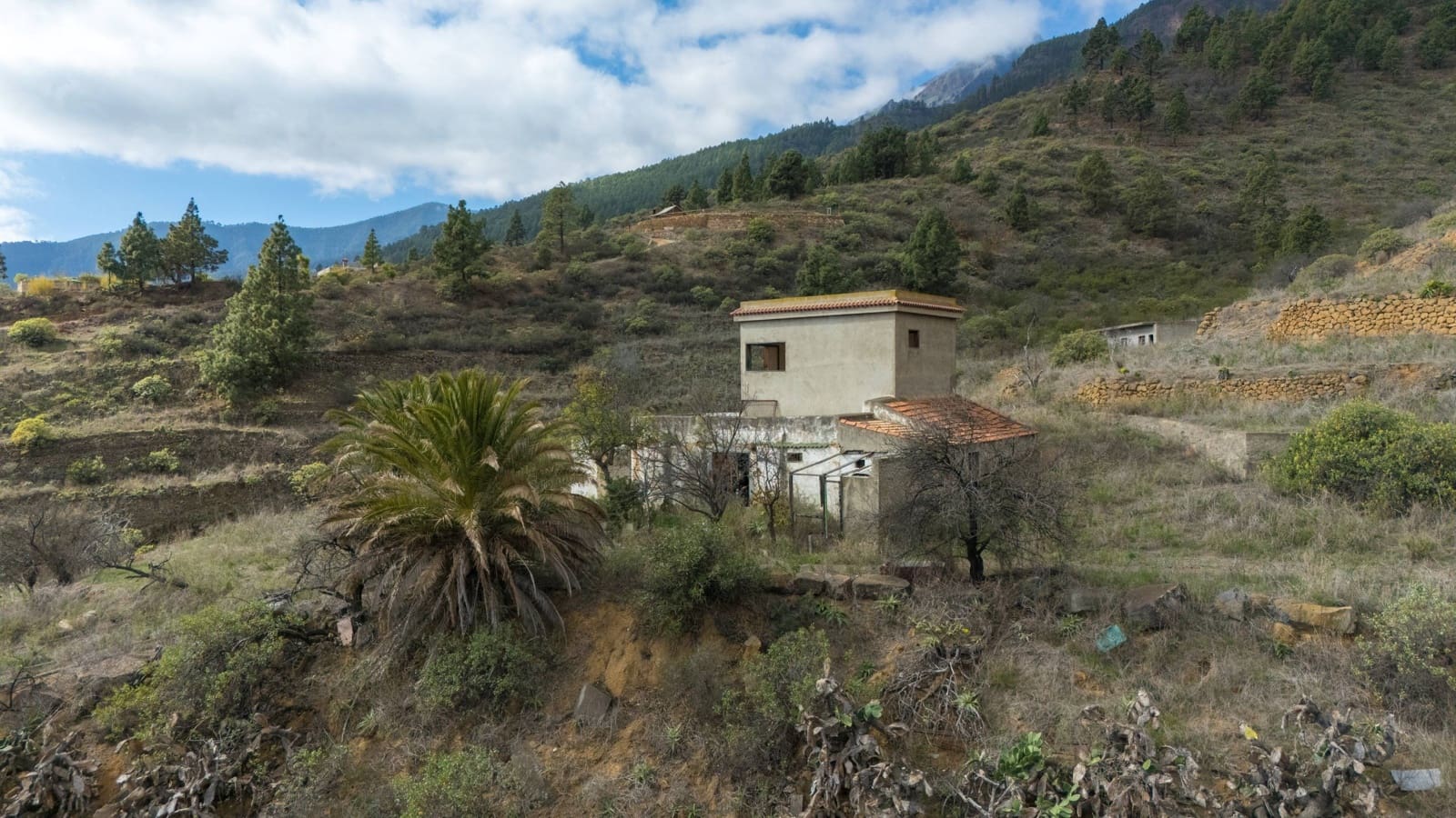 Finca/Casa Rural de 2 habitaciones en Arafo en venta - 500.000 € (Ref: 8789715)