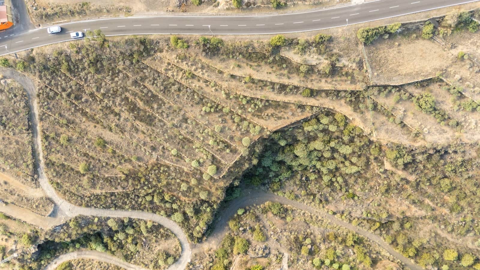 Ubebygd land til salgs i Arafo - € 110 000 (Ref: 8789717)