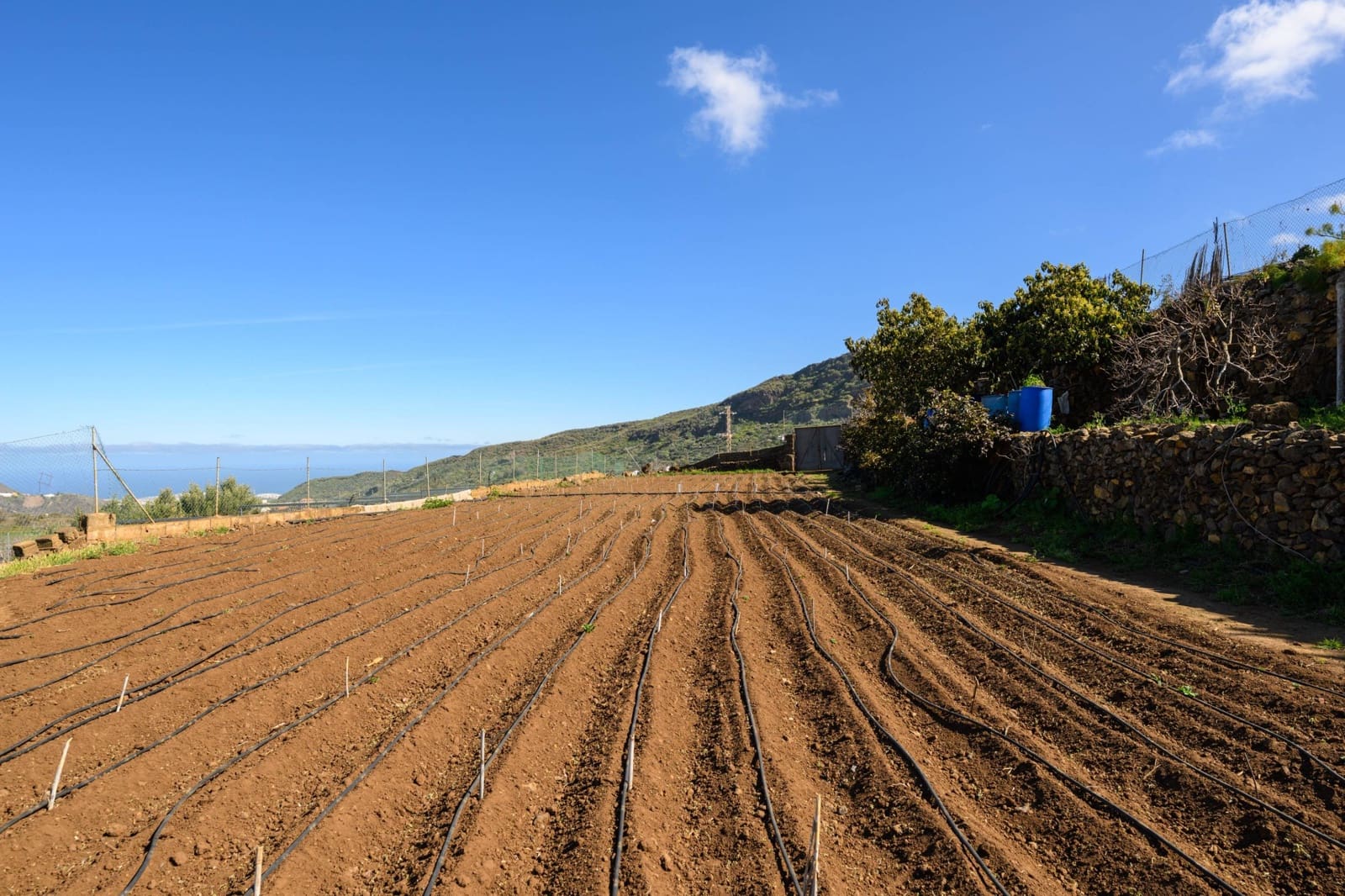 4 soverom Finca/Herregård til salgs i Valsequillo med garasje - € 419 900 (Ref: 8851946)