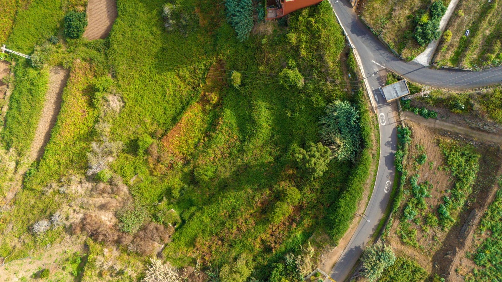 Building Plot for sale in Los Realejos - € 69,000 (Ref: 8881801)