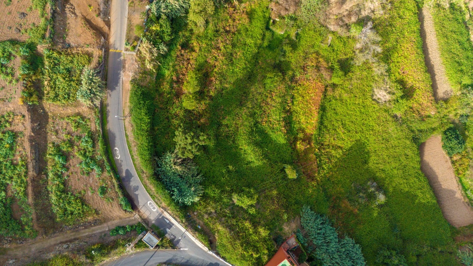 Building Plot for sale in Los Realejos - € 69,000 (Ref: 8881801)