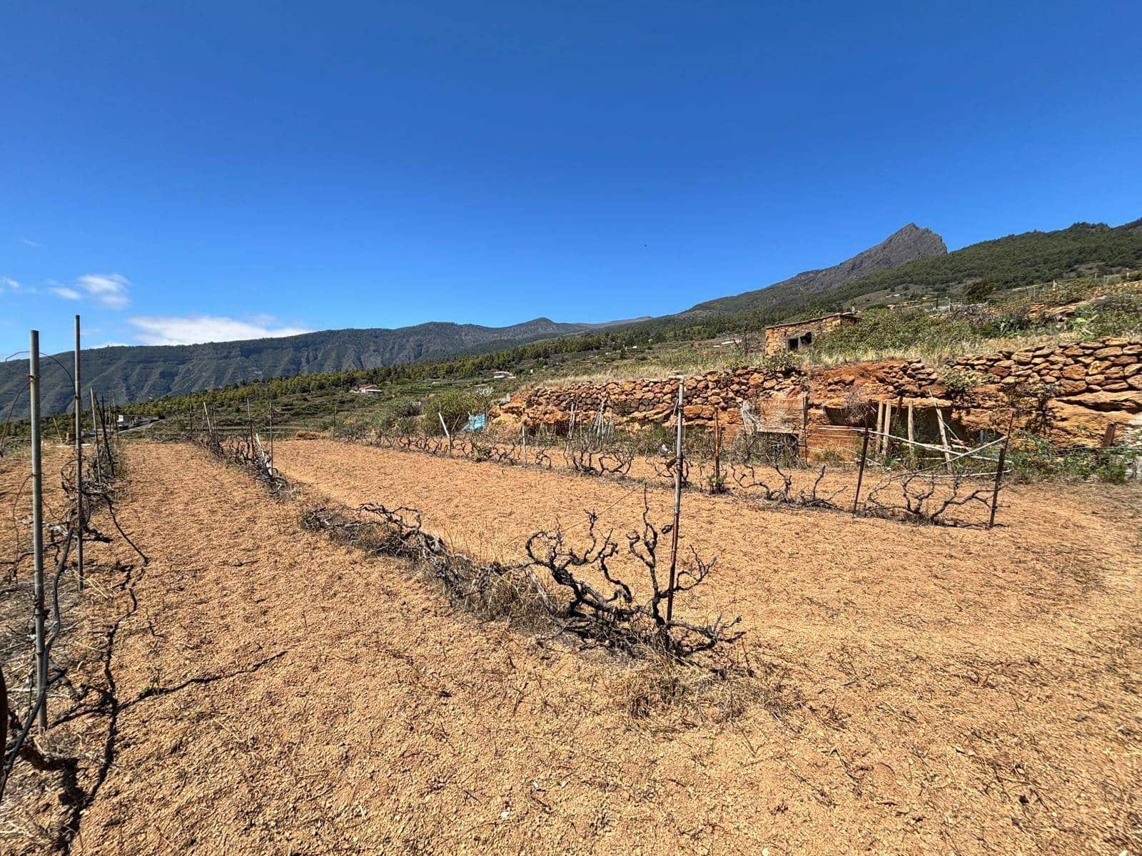 Grond te koop in Arafo - € 36.000 (Ref: 8886069)