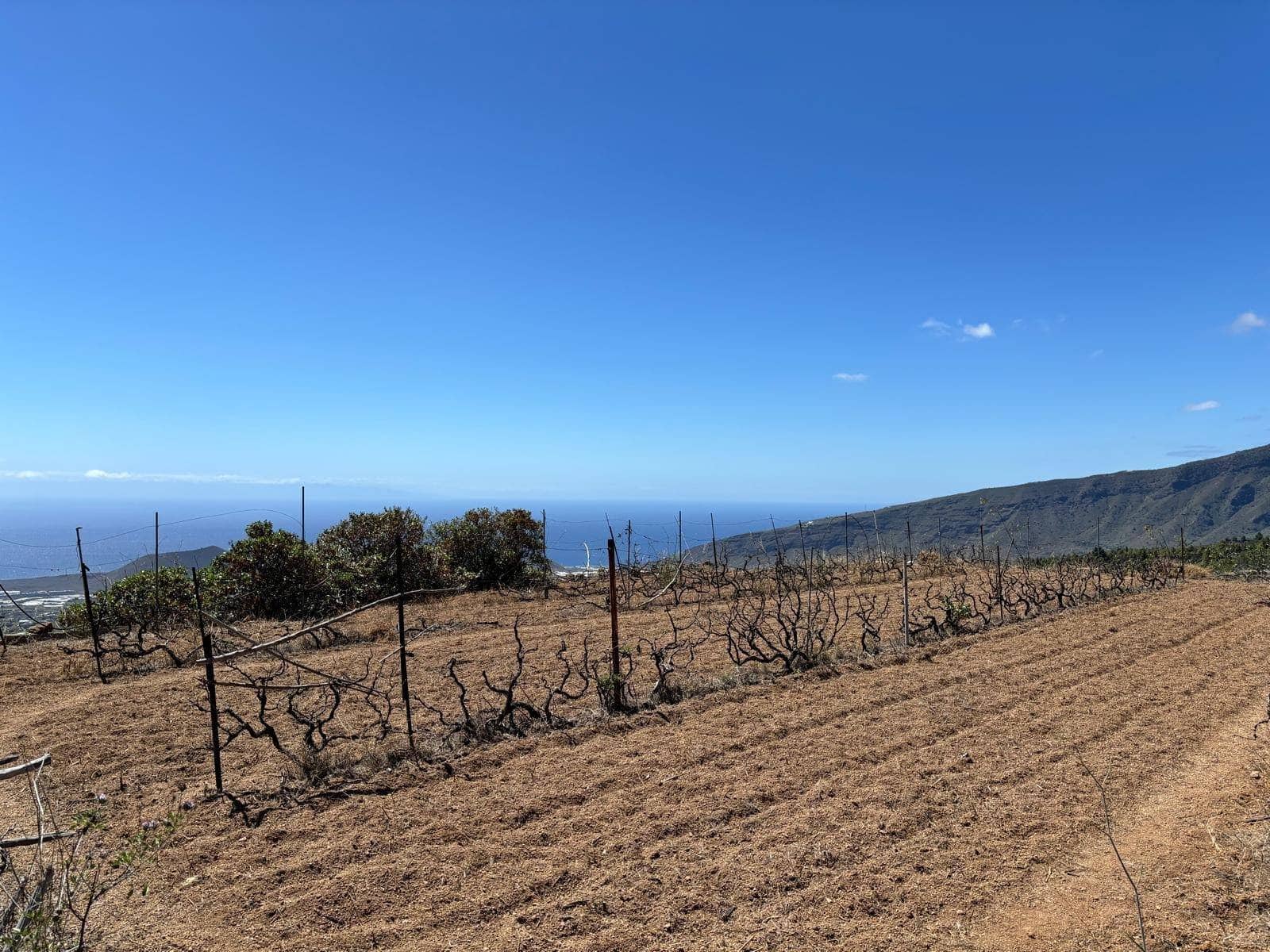 Grond te koop in Arafo - € 36.000 (Ref: 8886069)