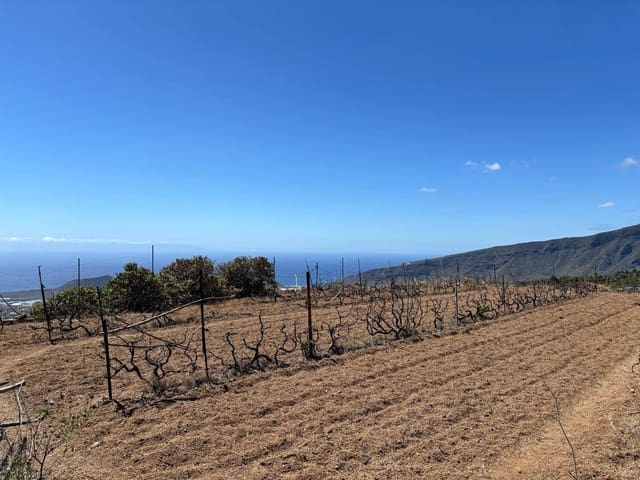 Undeveloped Land for sale in Arafo - € 36,000 (Ref: 8886069)