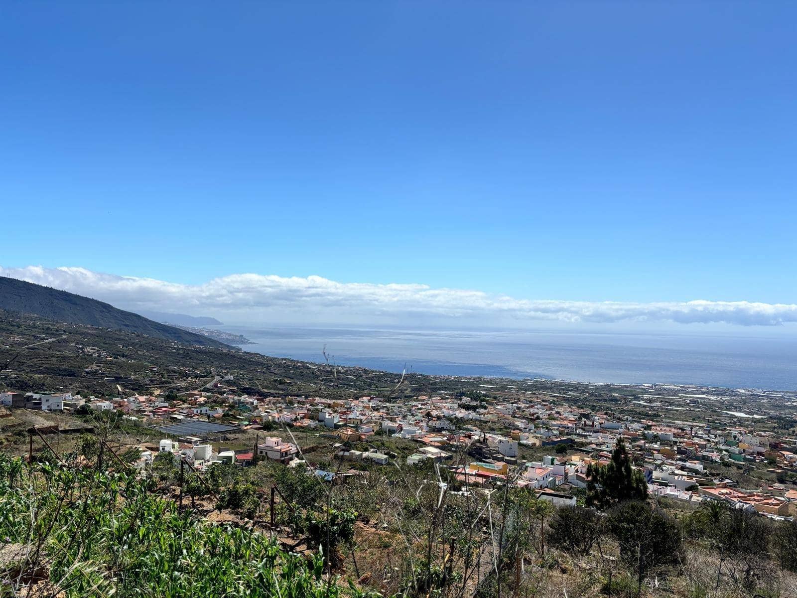 Grond te koop in Arafo - € 36.000 (Ref: 8886069)