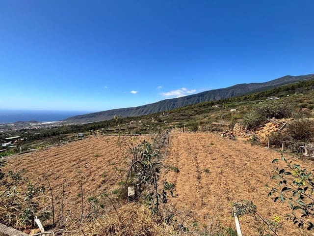 Undeveloped Land for sale in Arafo - € 36,000 (Ref: 8886069)