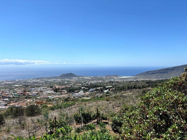 Undeveloped Land for sale in Arafo - € 36,000 (Ref: 8886069)