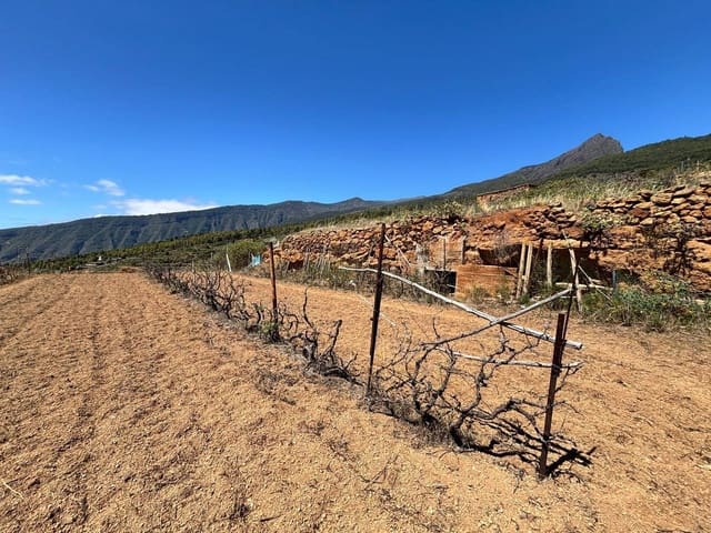 Undeveloped Land for sale in Arafo - € 36,000 (Ref: 8886069)