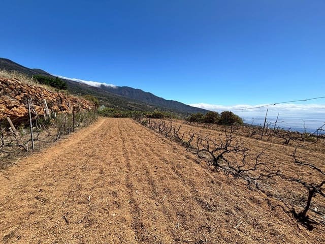 Undeveloped Land for sale in Arafo - € 36,000 (Ref: 8886069)