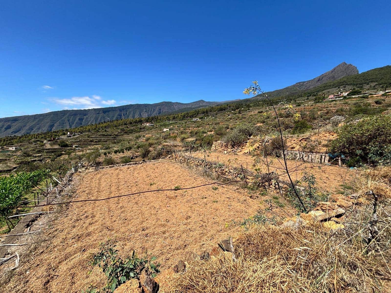 Grond te koop in Arafo - € 36.000 (Ref: 8886069)