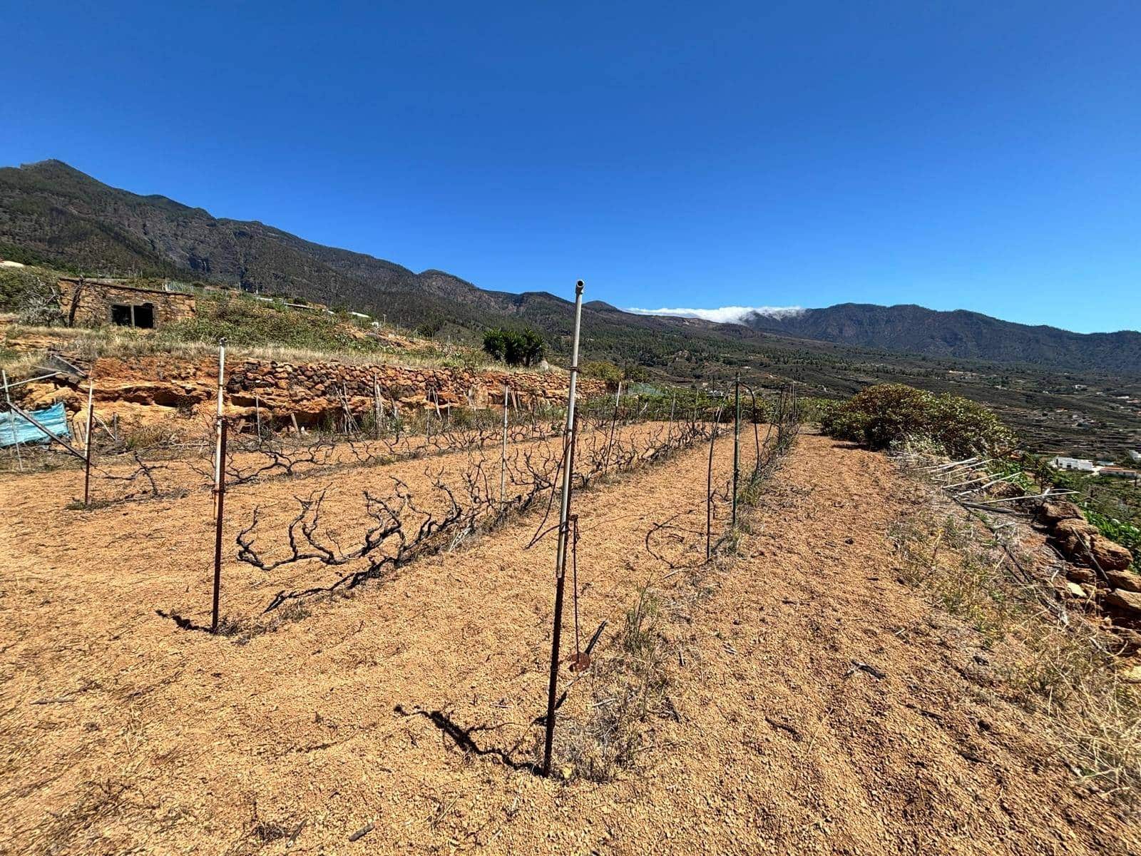 Grond te koop in Arafo - € 36.000 (Ref: 8886069)