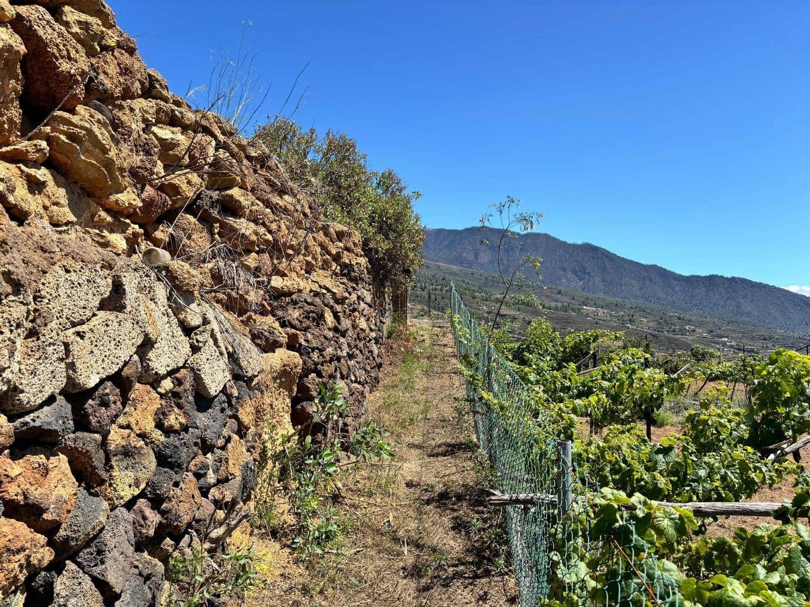 Grond te koop in Arafo - € 36.000 (Ref: 8886069)