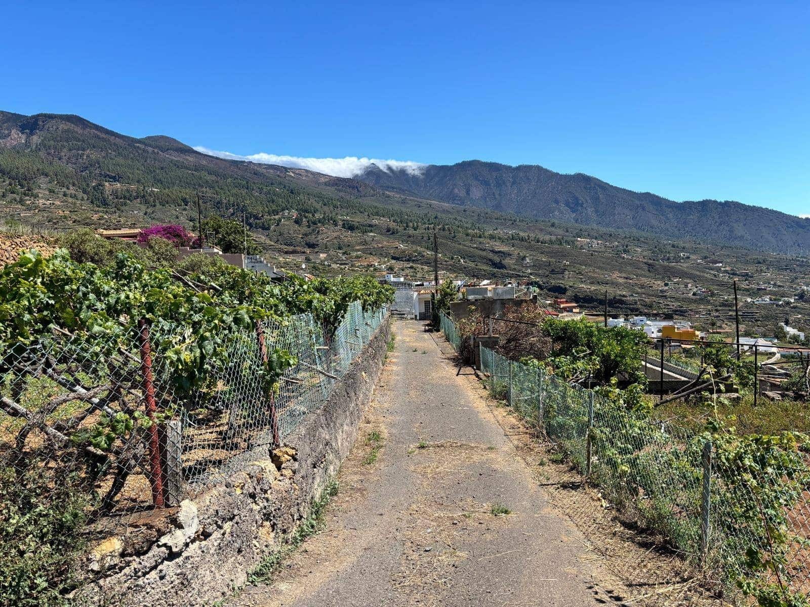 Grond te koop in Arafo - € 36.000 (Ref: 8886069)