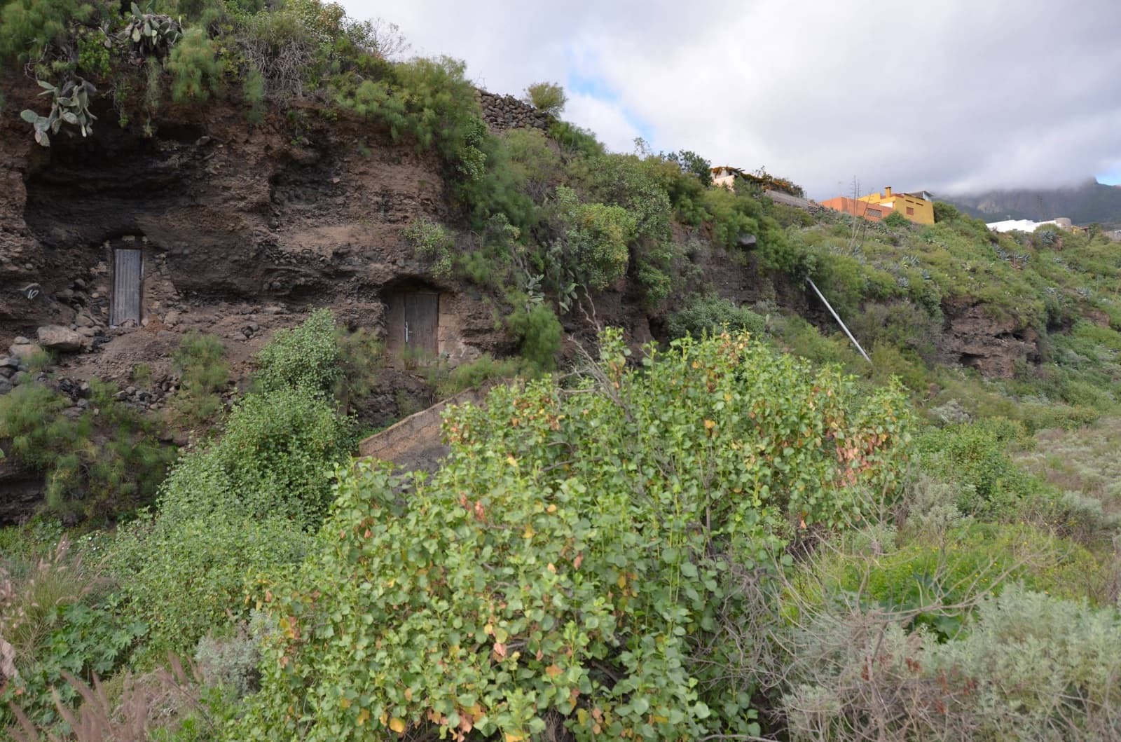 Undeveloped Land for sale in Guimar - € 59,500 (Ref: 8886070)